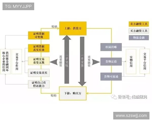 青训造血机制与欧冠俱乐部人才供应链的深度剖析