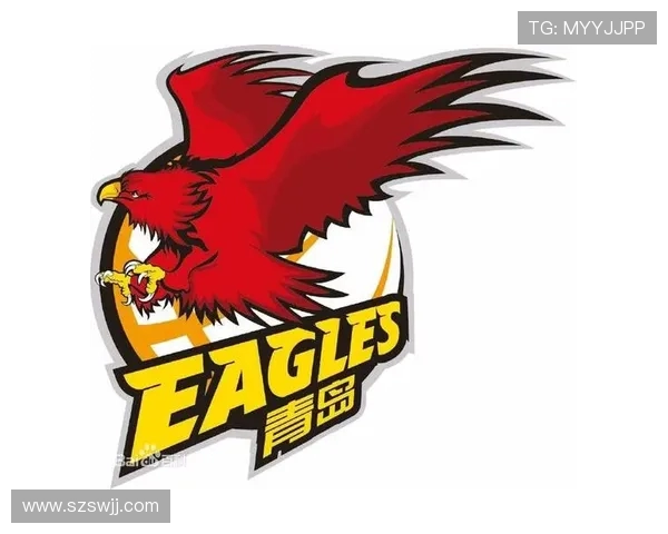 CBA20支球队对应NBA球队模板分析及体育竞技特点