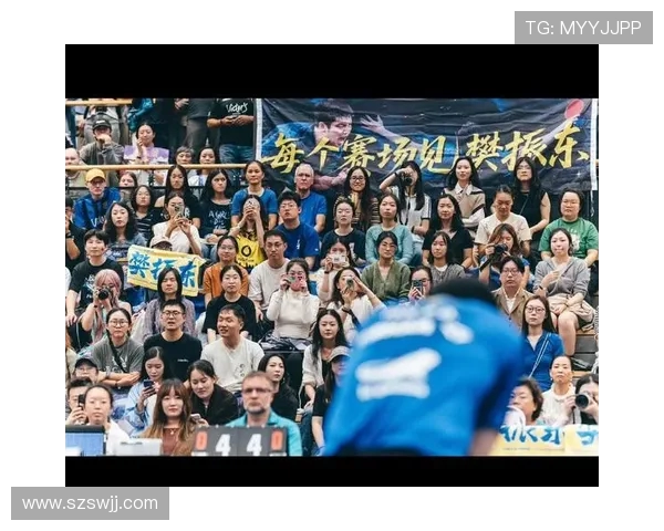 德甲联赛的代表球队及其影响力分析