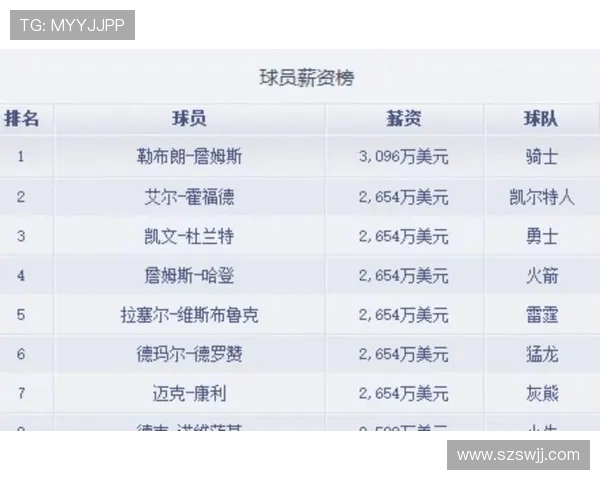 火箭队现有球员人数及球队配置详解